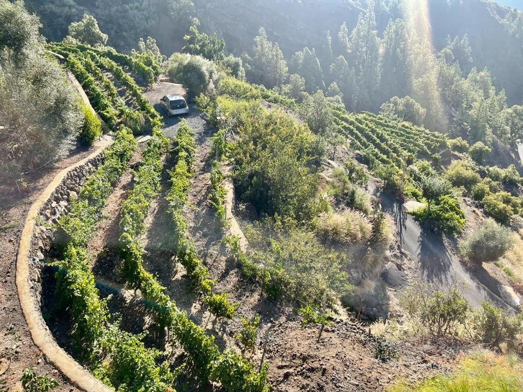 Villa De Taburiente El Paso Εξωτερικό φωτογραφία